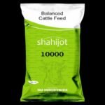 Shahijot-Balanced Cattele Feed
